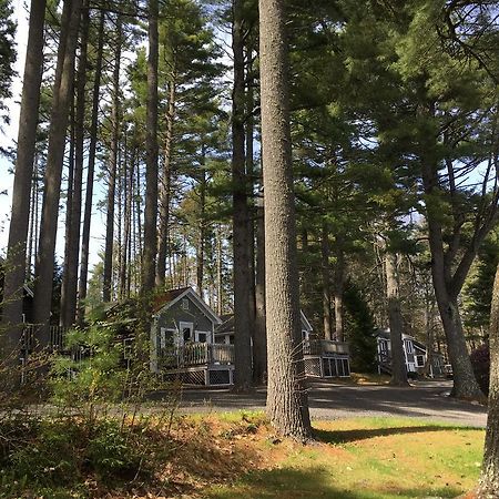 Pine Grove Cottages Lincolnville Exterior photo