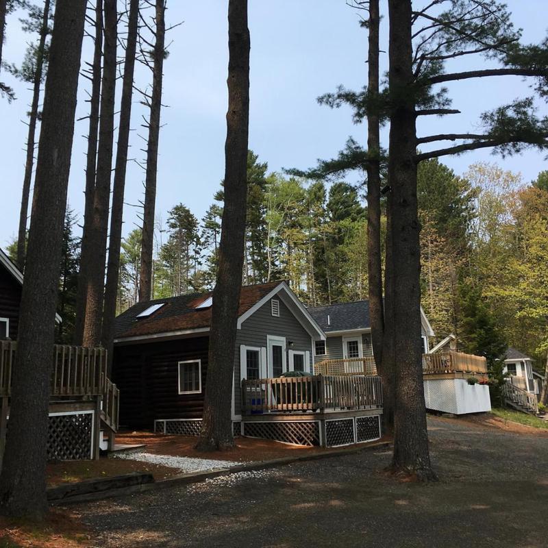 Pine Grove Cottages Lincolnville Exterior photo